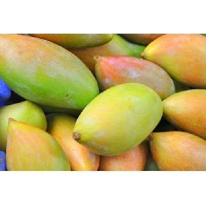 Fresh Totapuri Mango