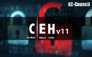 ethical hacking services