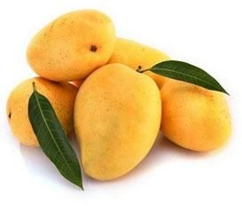 kesar mango