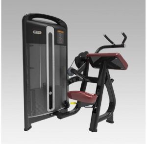 Triceps Extension Machine