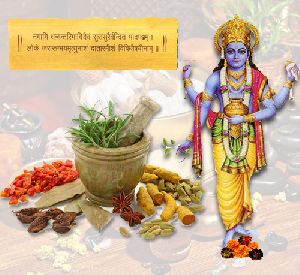 Puja & Havan for Health