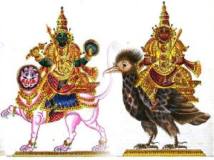 Rahu & Ketu Dosha Nivaran Havan
