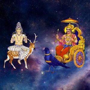 Vish Yog Nivaran Havan