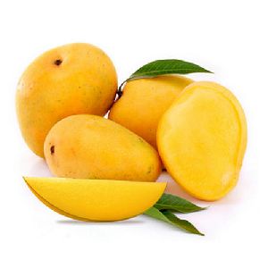 Fresh Alphonso Mango