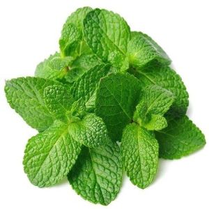 Mint Leaves