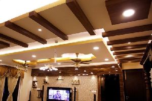 Ceiling Interior Designing Services
