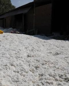 raw material cotton