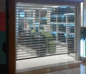 Ganesh Polycarbonate Rolling Shutter