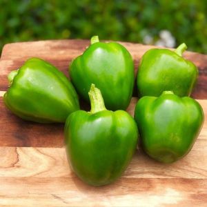 Organic Green Capsicum