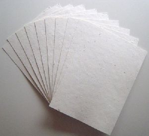 Plantable Seed paper