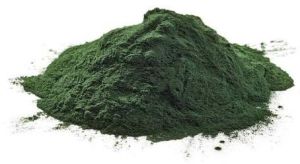 Spirulina