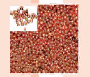 Boron Copper 2% Powder