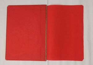 Four Flapper File Folder (Non Woven)
