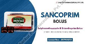 Sancoprim Bolus