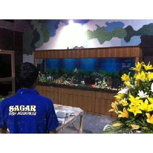 glass fish aquarium