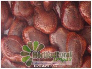 Tamarindus Indica Seeds
