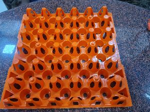 Plastic Egg Tray