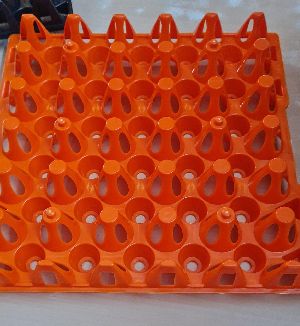 Plastic Egg Tray