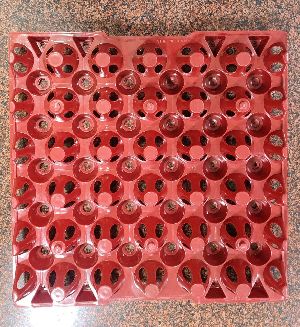 Plastic Egg Tray