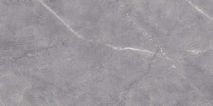 Regal Acro Grey Glossy Floor Tiles