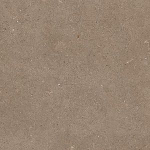 California Brown Matt Finish Floor Tiles