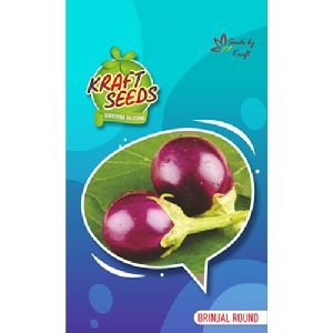 Brinjal Seeds