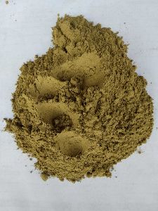 bay leaves powder