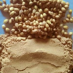 Corriander seeds powder