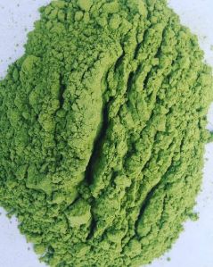 Wheatgrass Powder