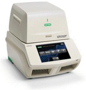 Real Time PCR Machine