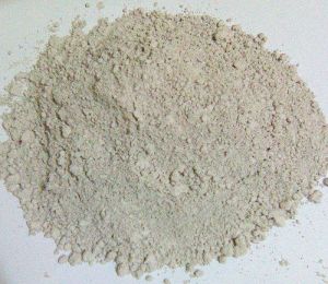 Diatomaceous Earth Powder