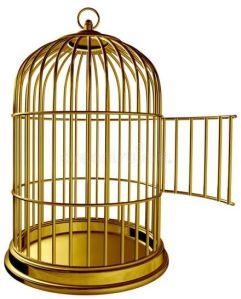 UD-18522 Iron Bird Cage