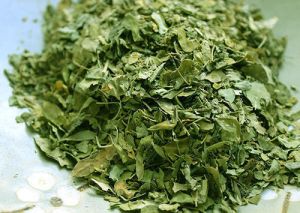 Moringa Dried Cut Leaves