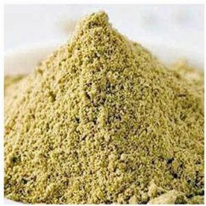 Moringa Seed Powder