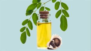 Organic Moringa Oil