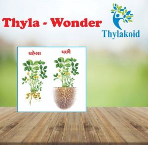 Thyla-Wonder Plant Growth Regulator