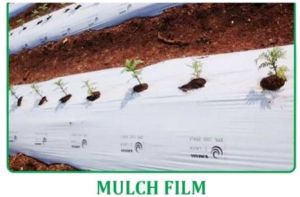 mulching paper