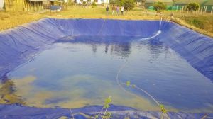 Pond Liner