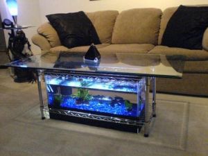 Coffee Table Aquarium