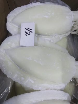 Frozen Cuttlefish