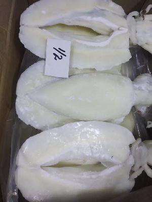 Frozen Cuttlefish