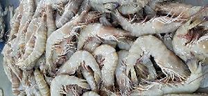 Frozen Head On Shrimps