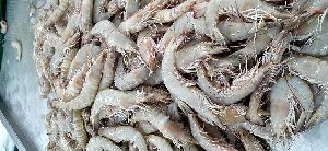 Frozen Head On Shrimps