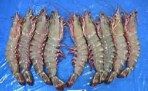 Frozen Black Tiger Shrimp