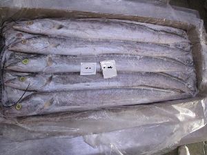 Frozen Ribbon Fish