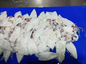 Frozen Whole Round Squid