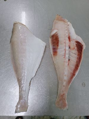 Frozen Leather Jacket Fish