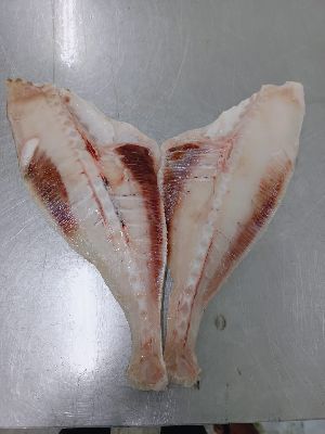 Frozen Leather Jacket Fish