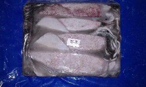 Frozen Whole Round Squid