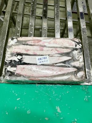 Frozen Whole Round Squid